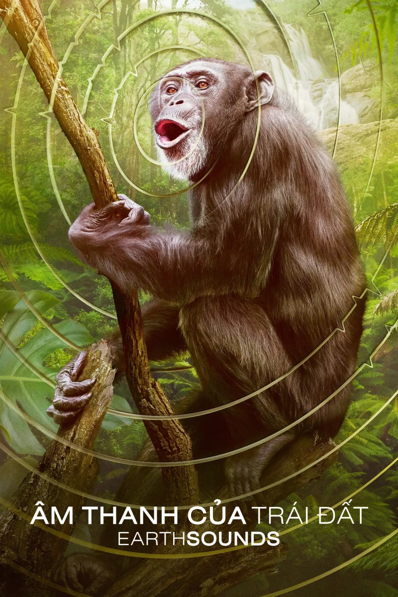 Âm Thanh Của Trái Đất - Earthsounds Earthsounds
