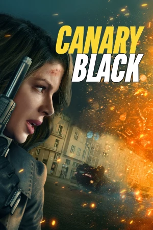 Canary Black Canary Black