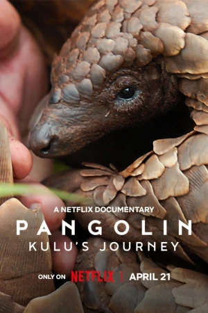 Loài tê tê: Hành trình của Kulu Pangolin: Kulu's Journey
