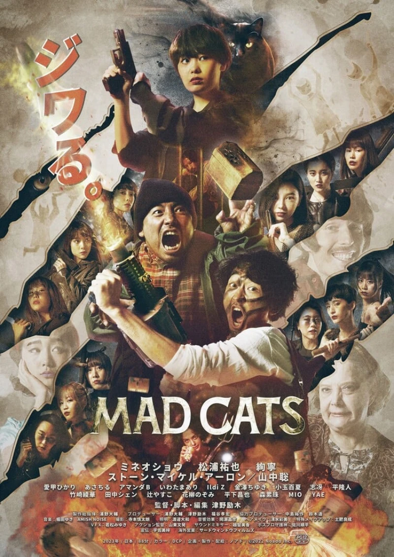 Mèo Điên Mad Cats