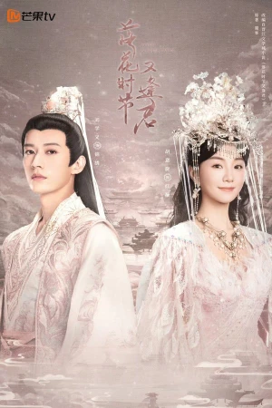 Mùa Hoa Rơi Gặp Lại Chàng Love Never Fails