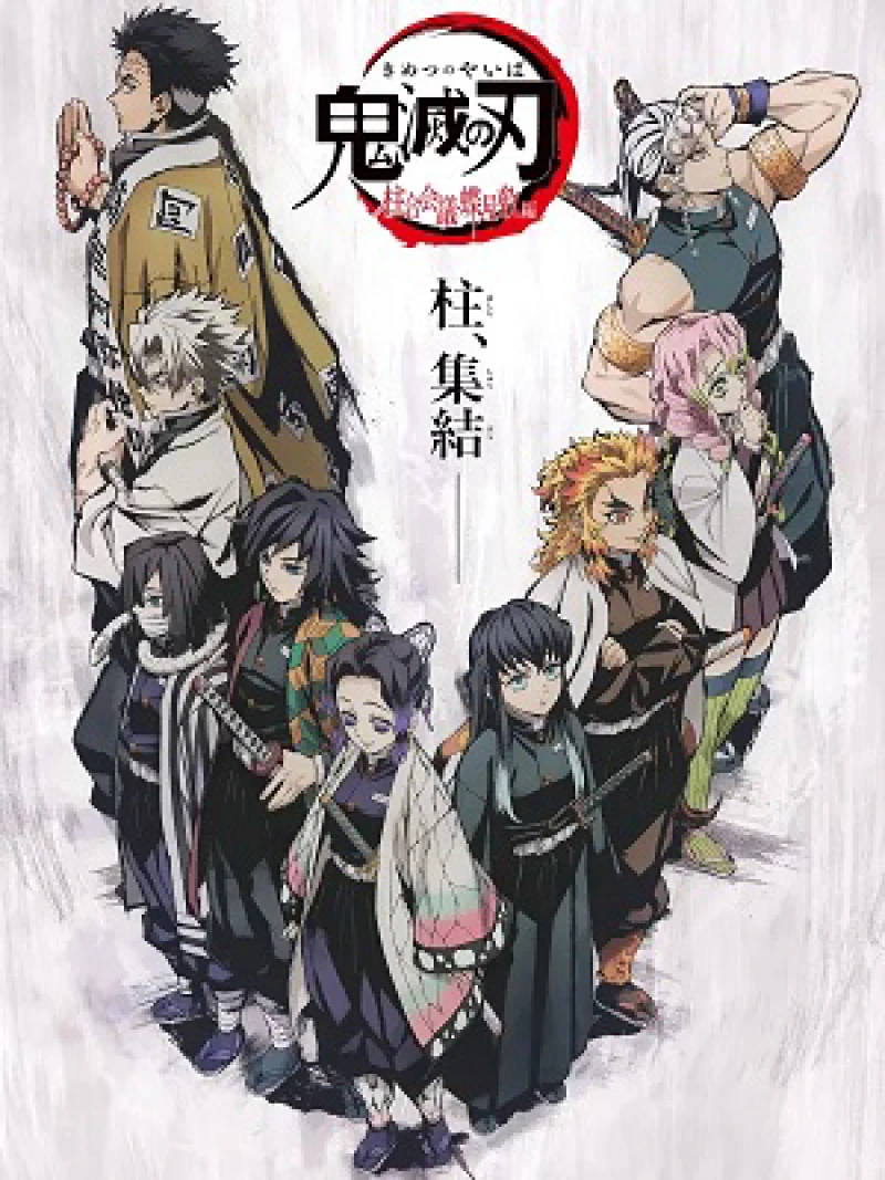 Thanh Gươm Diệt Quỷ: Hội nghị Đại Trụ và Điệp 鬼滅の刃 特別編集版 柱合会議・蝶屋敷編