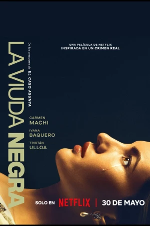 Trò Chơi Của Một Góa Phụ A Widow's Game